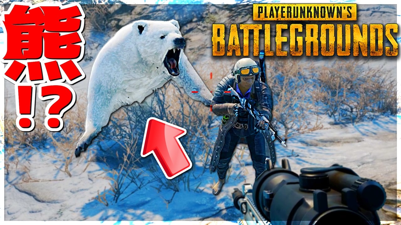 【PUBG】今パブジーの世界には熊がいます。本当です。