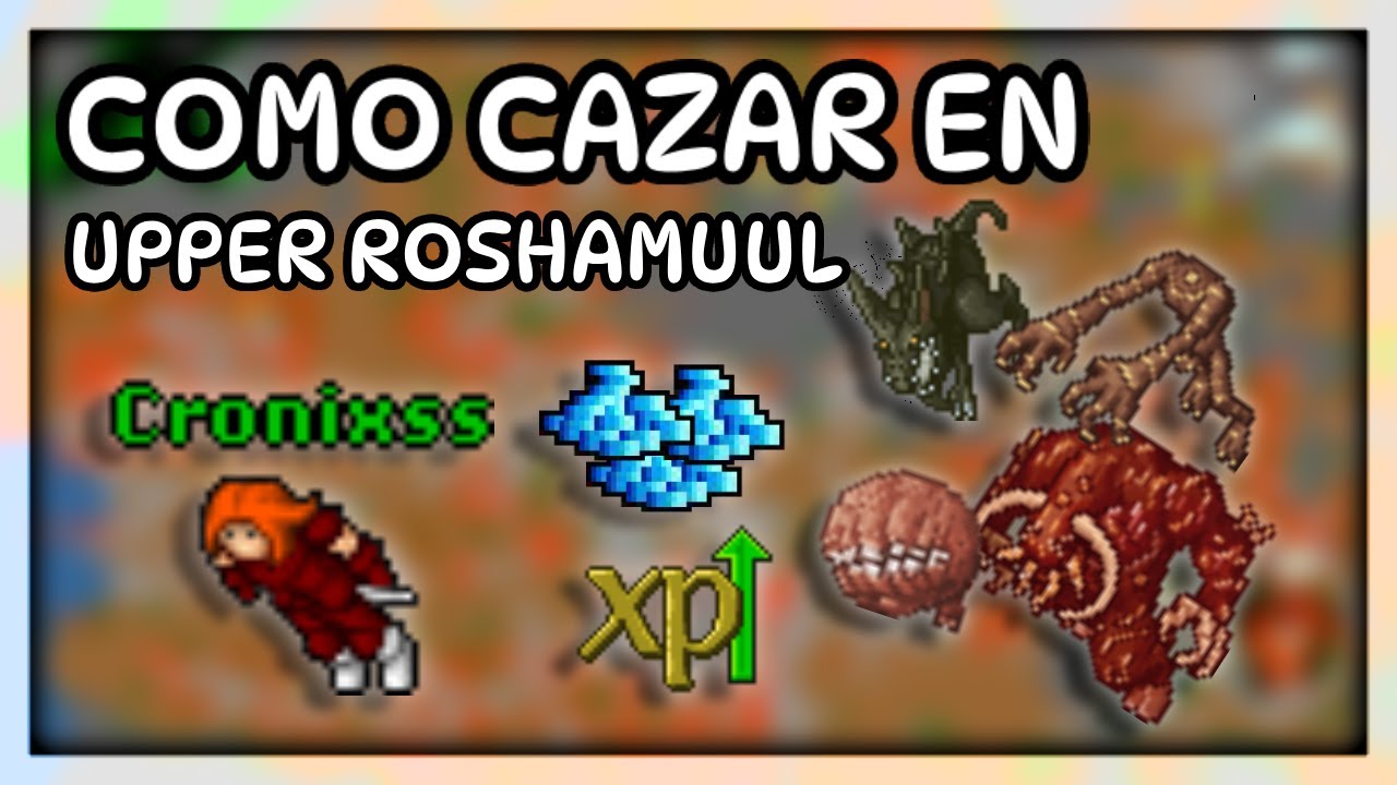 Como cazar en UPPER ROSHAMUUL (Depot de Rosha)