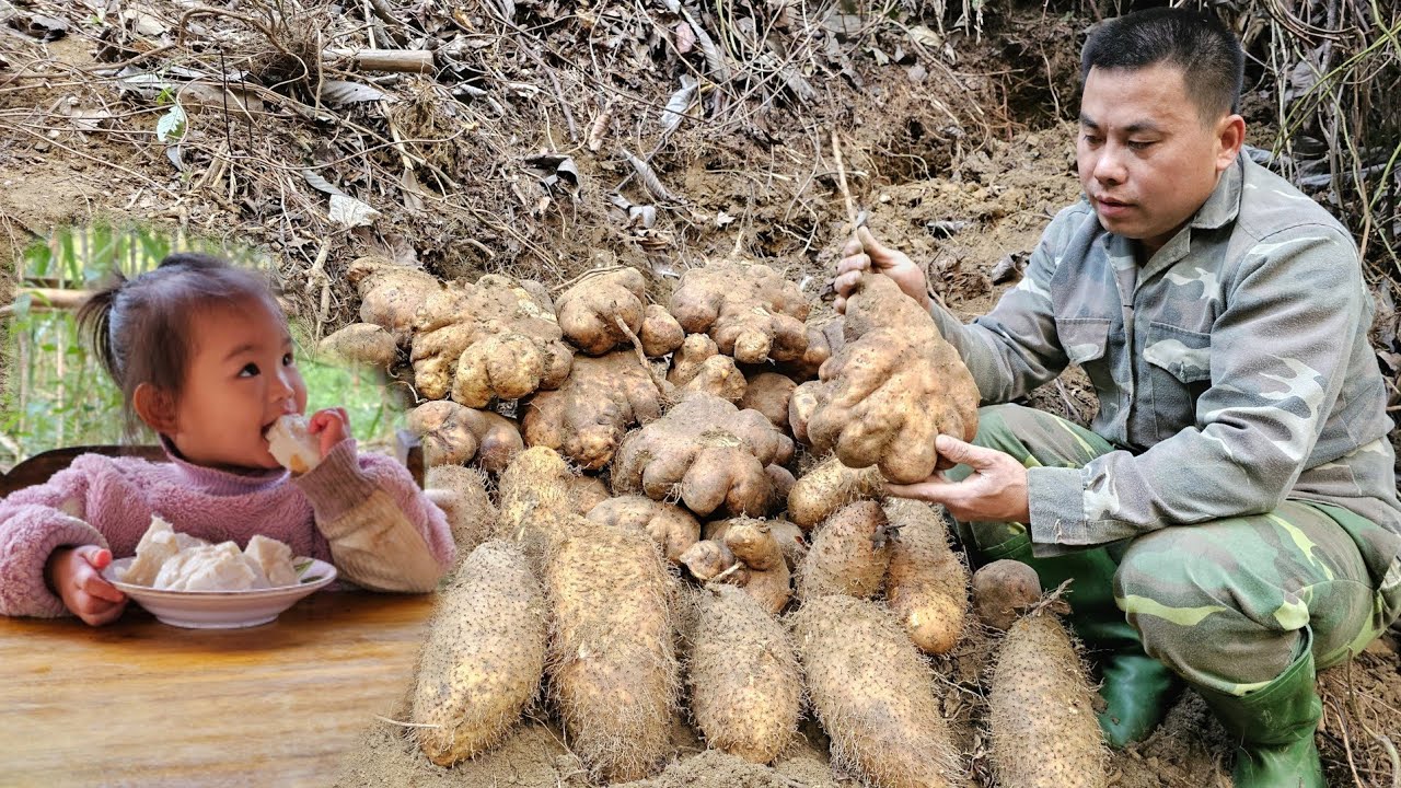 VIDEO FULL:90 Days Harvesting Fruit, Vegetable-Market-Gardening-Cooking /XuanTruong.