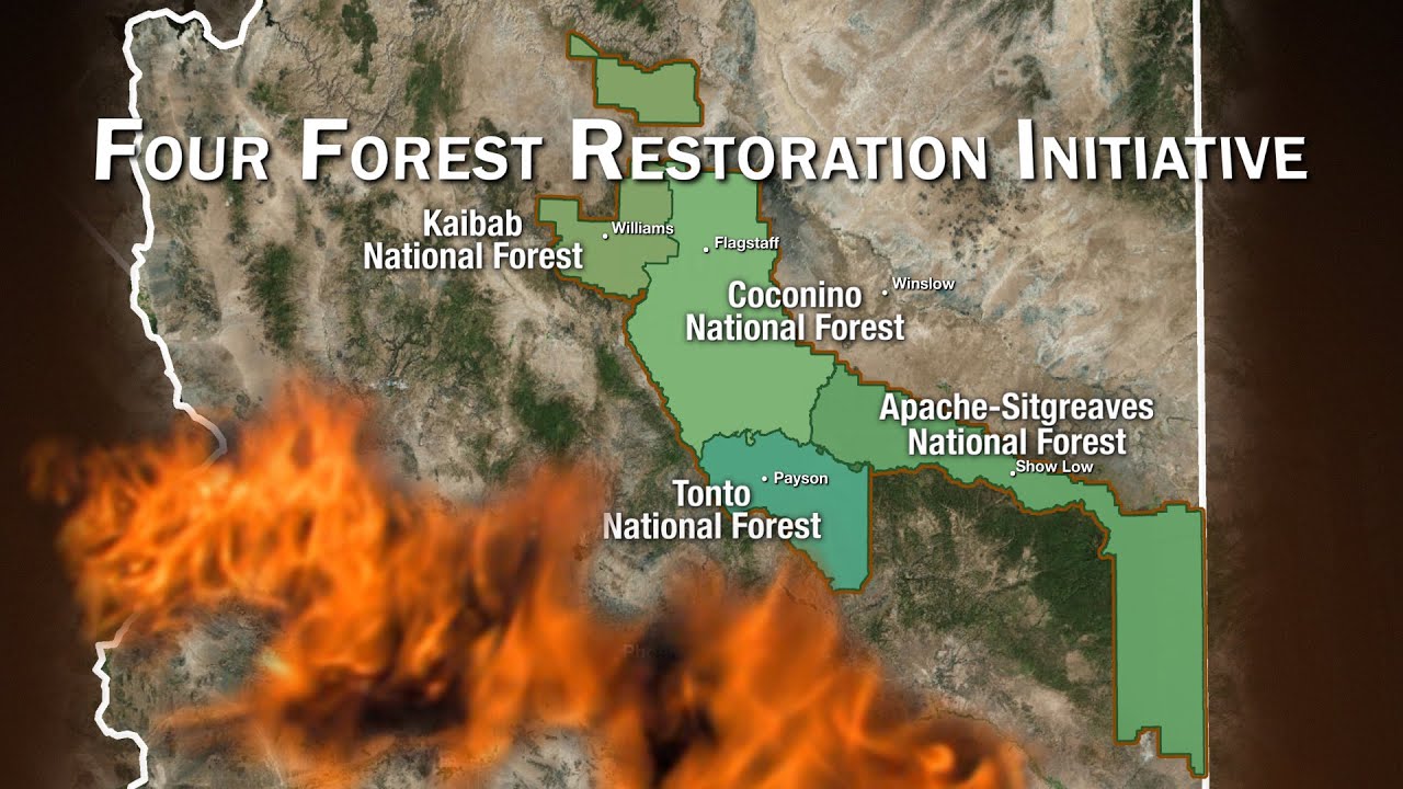 An Epic Response to the Wildfire Threat