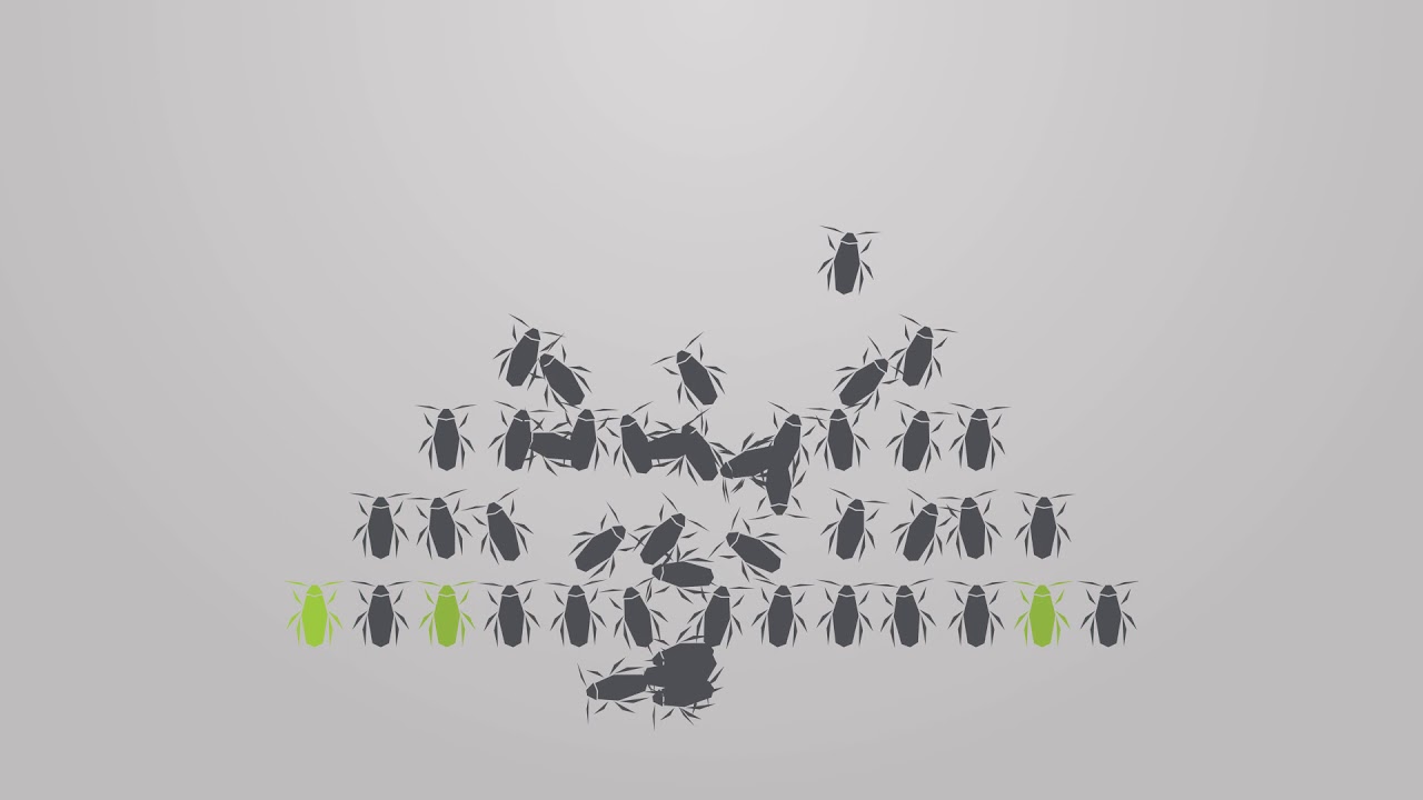 Discover The Technology Behind Advion Cockroach Gel Bait