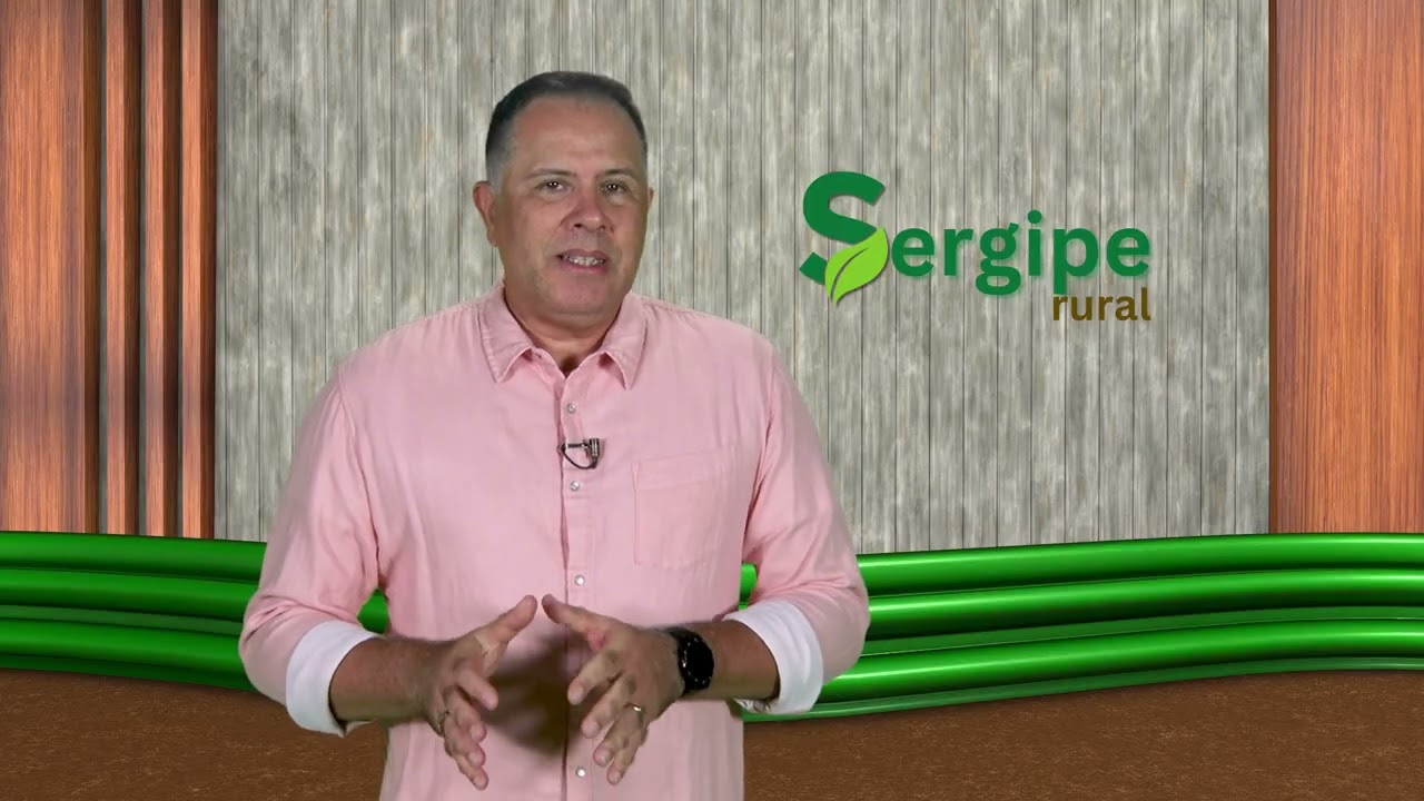 SERGIPE RURAL - PROGRAMA 13 - 2ª temporada
