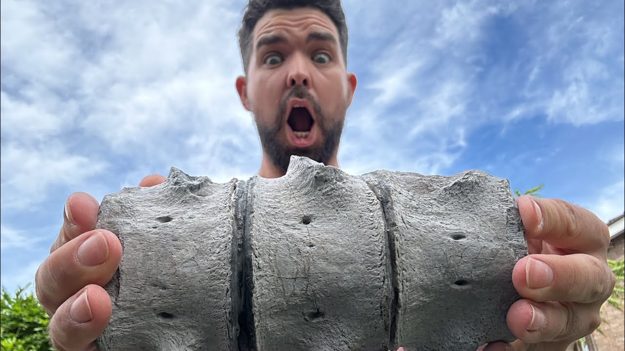 I Found The BONES Of An Ancient Sea MONSTER!!!