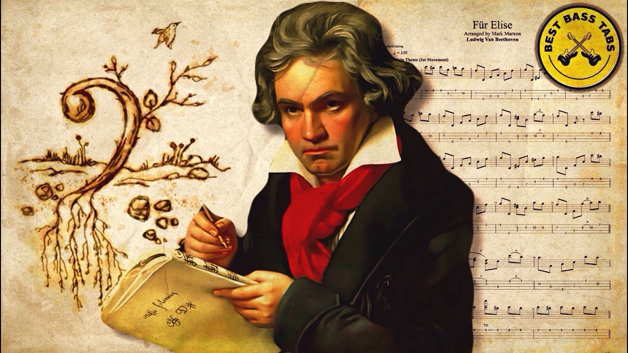Für Elise - Beethoven | Solo Bass Arrangement [WITH TABS]