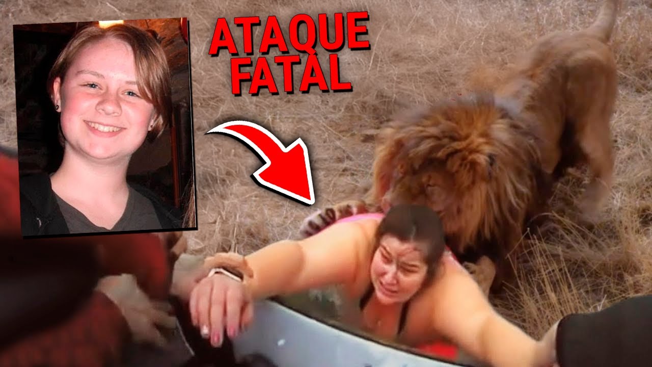 25 ATAQUES DE ANIMAIS A SERES HUMANOS FILMADOS POR C&Acirc;MERAS