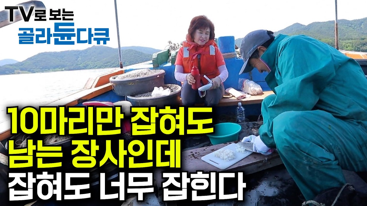 그들은 매년 여름만을 손꼽아 기다린다.｜하루 열 마리만 잡아도 남는 장사라는 여름 갯장어｜좋은 휴양지도 많은데 15년째 매년 여름을 무인도에서 보낸다는 자연인｜한국기행｜#골라듄다큐