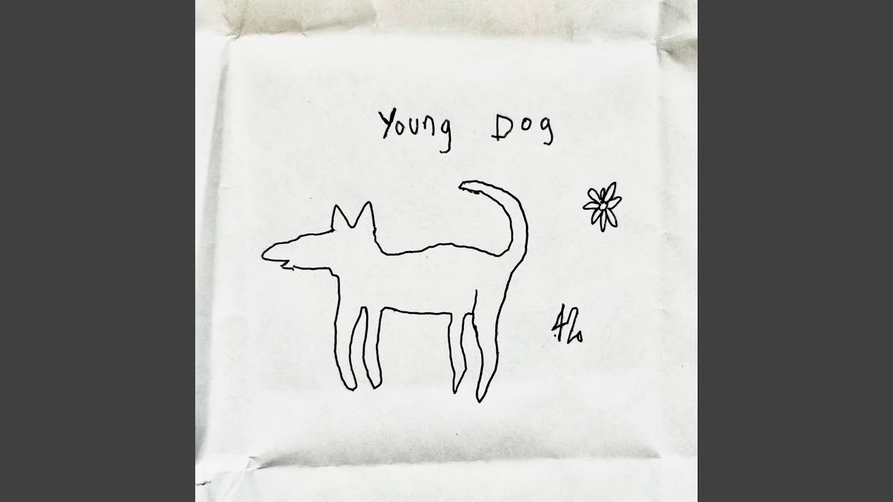 Young dog