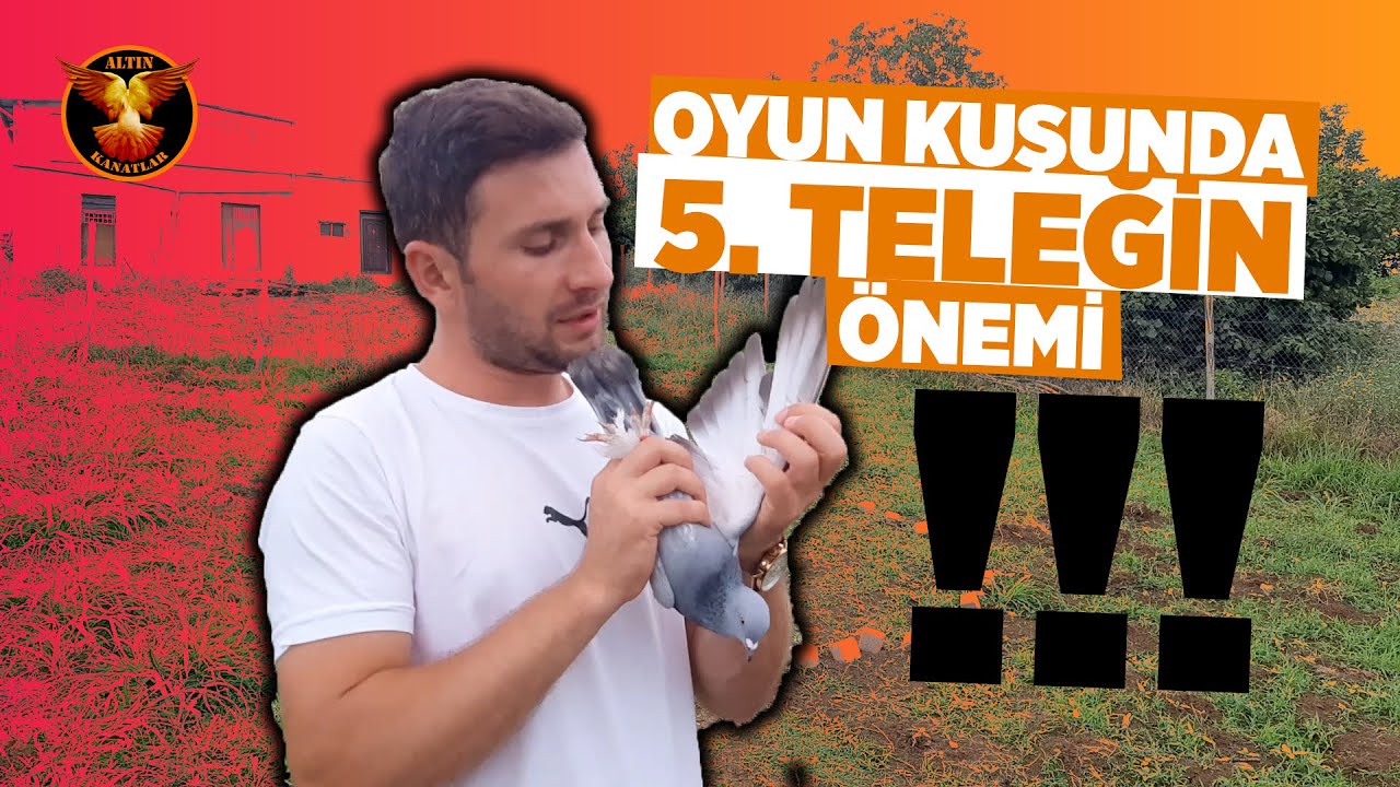 Oyun kuşunda 5. teleğin önemi