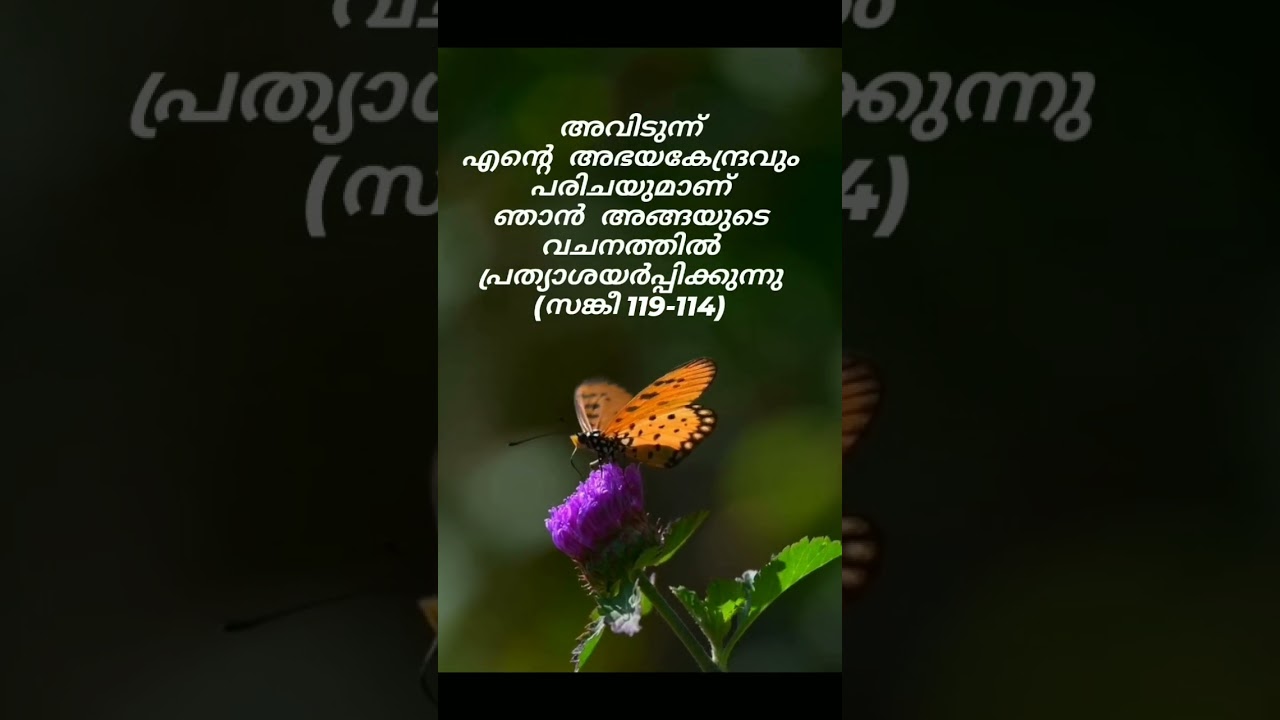#jesuschrist #kreupasanam #kreupasanamlive #traditionalmalayalamchristiandevotionalsongs #devotional