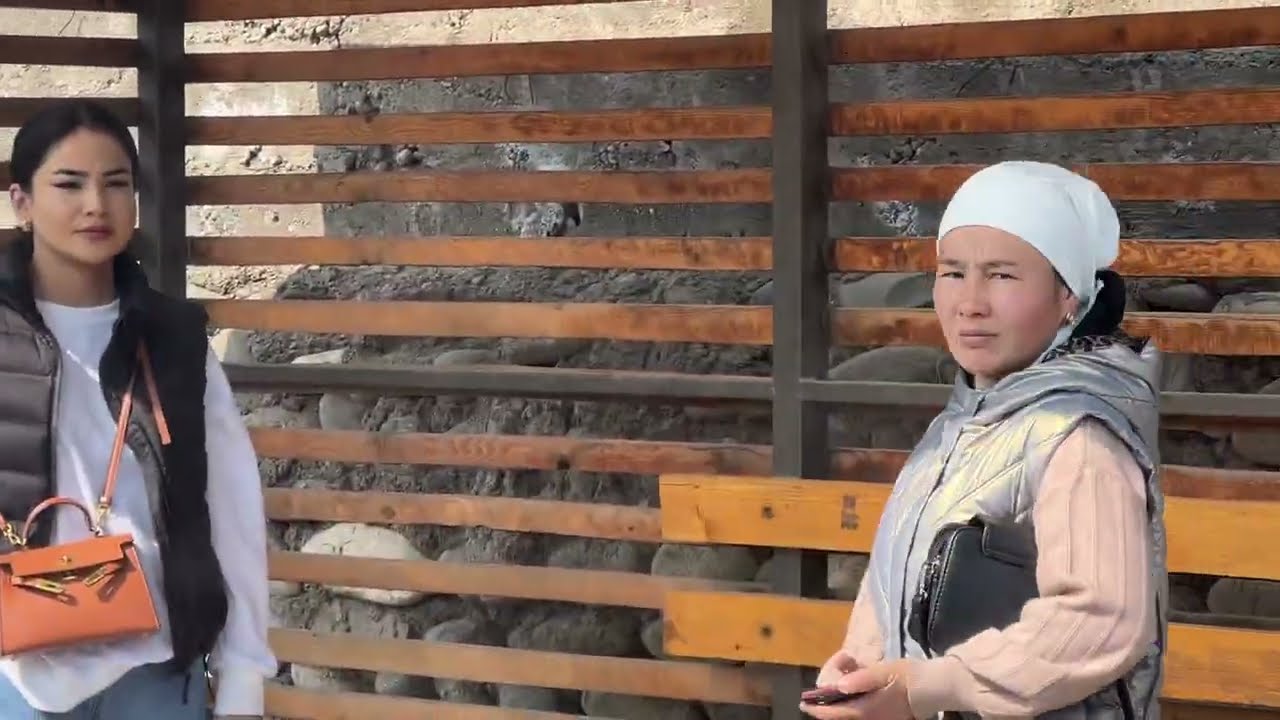 Жаны-Арык Айылына снос Кирди 