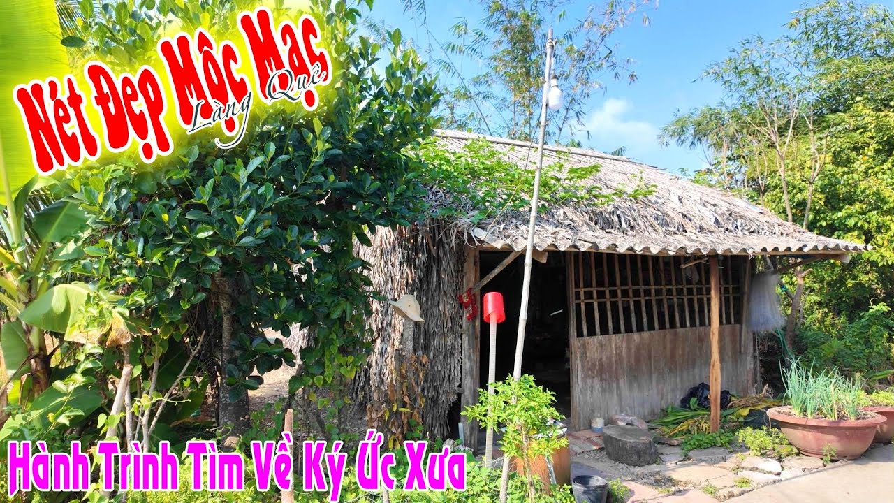 Bất Ngờ Môtj Vùng Quê TRẦN VĂN THỜI Con Đường Hoang Vắng, Mộc Mạc Yên Bình, Nơi Thời Gian Chậm Lại