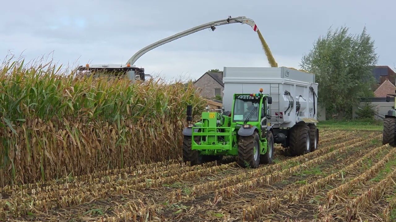 Merlo TF 45.11 T-CS CVT verreiker    #Gelaude #Merlo