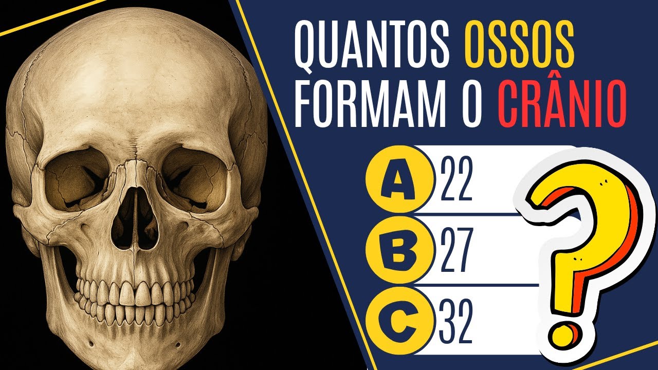 Anatomia dos Ossos do Crânio e Face | Quiz com 30 Perguntas