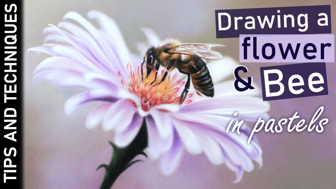 How to draw a flower and Bee in pastels | Pastel pencil tips
