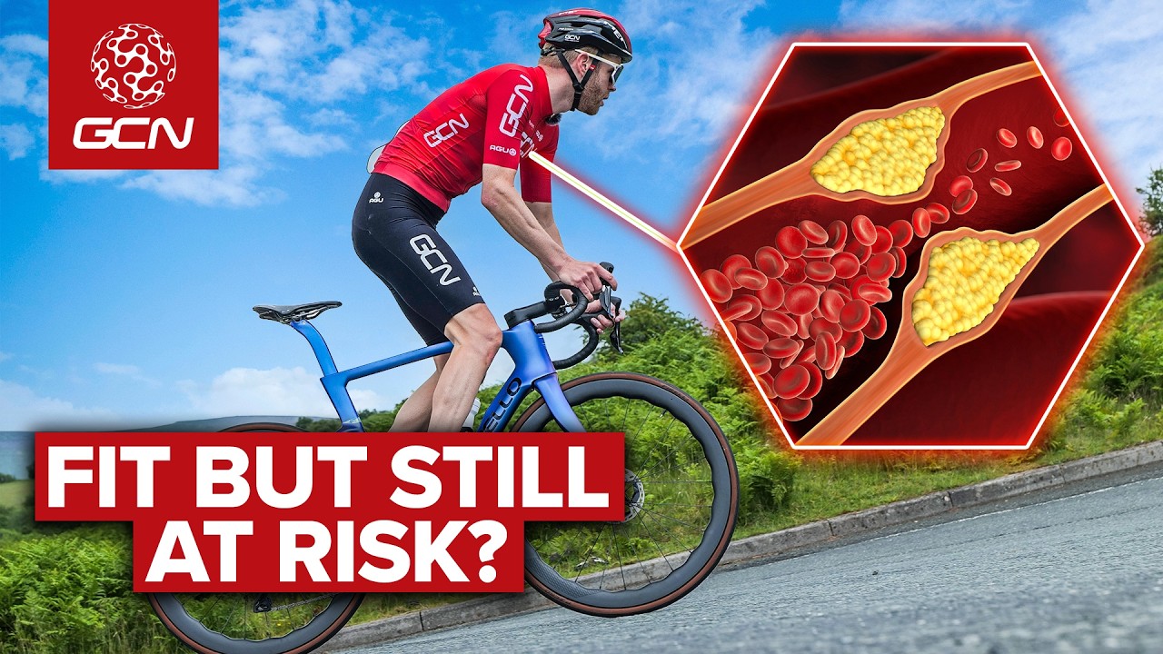 Does Fitness Protect You From High Cholesterol?