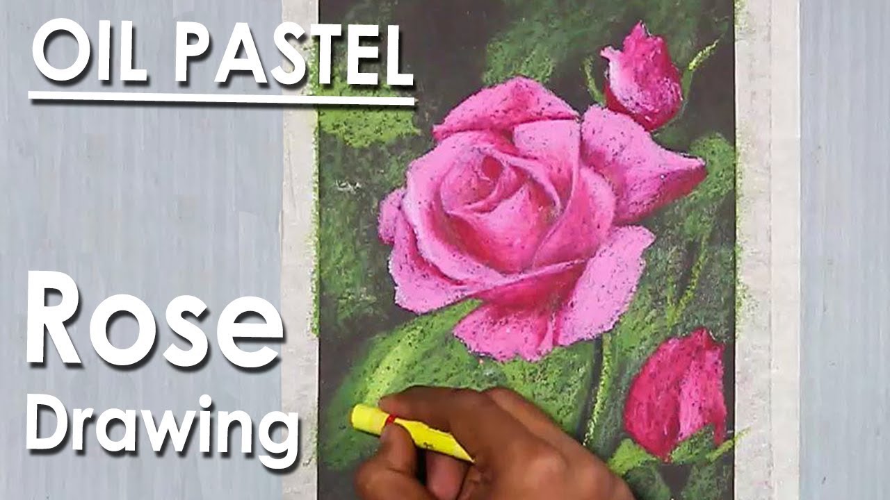 How to Draw Rose in Oil Pastel step by step with color information