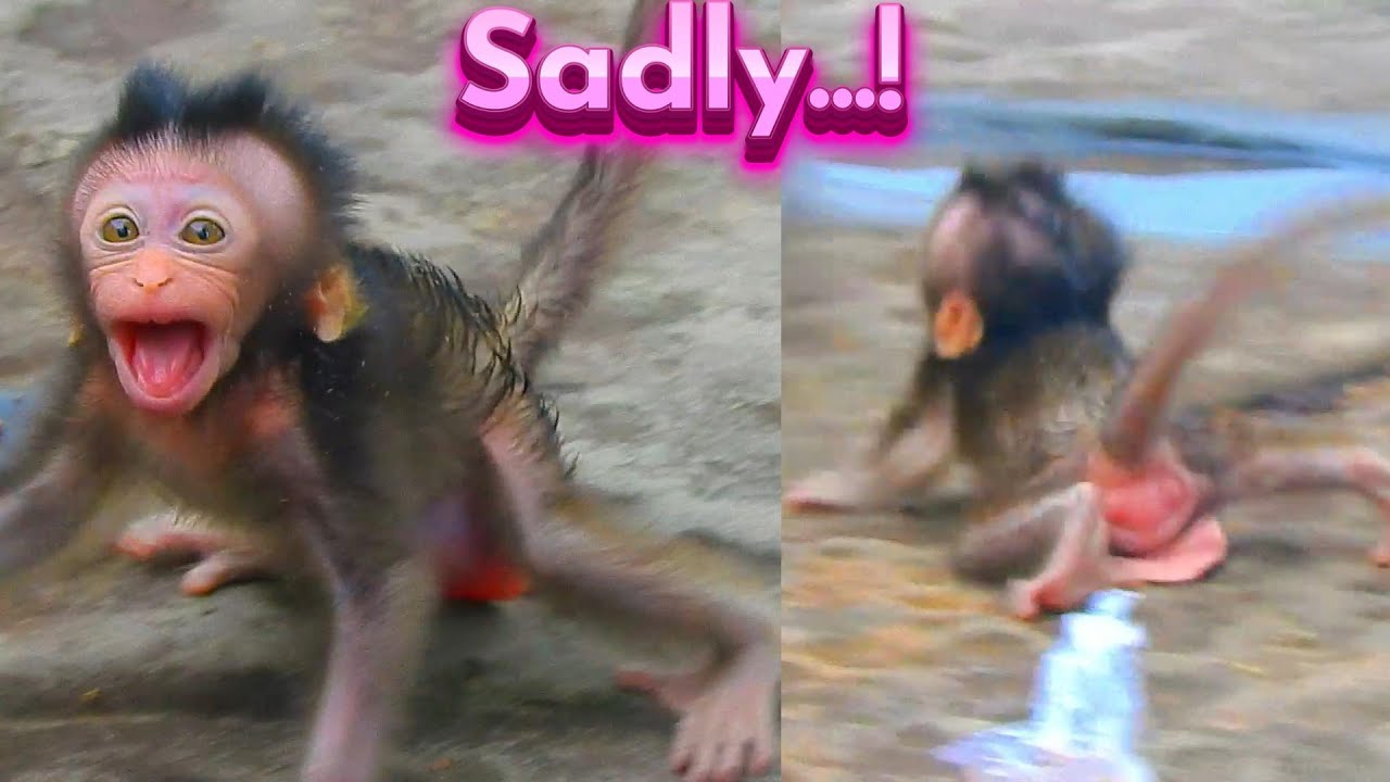 Shocking Heart! Lovely Newborn Really Cry Loudly Almost D/.ied Cos Grateful Mama No Seen...!