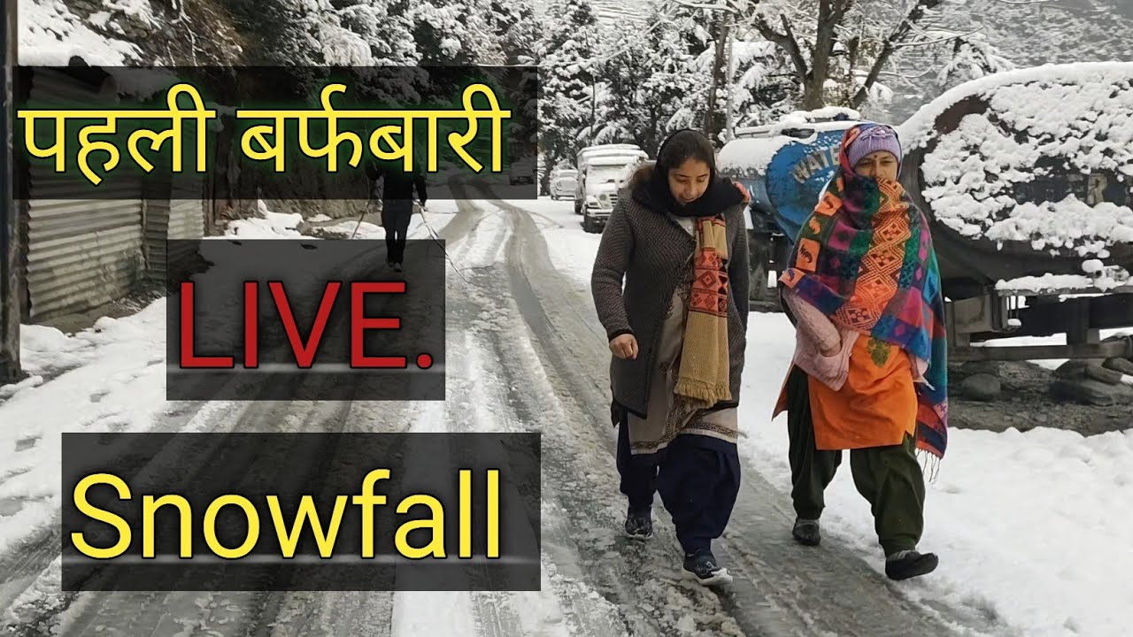 Live snowfall in Himachal || heavy snowfall || VirenBeast #virenbeast #livesnowfall #heavysnowfall