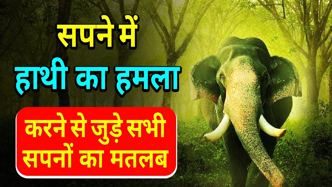 Sapne me Hathi ka Hamla dekhan || Seeing Elephant Attack in dream || Hathi ke Hamle ka Sapna dekhna