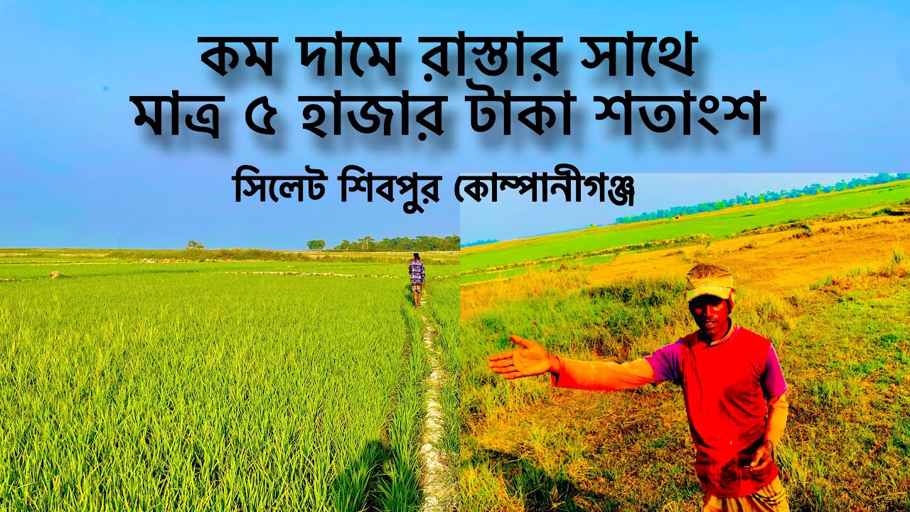 কমদামি জমি রাস্তার সাথে, ৫ হাজার টাকা শতাংশ জায়গা বিক্রি হবে,agriculture jaga 