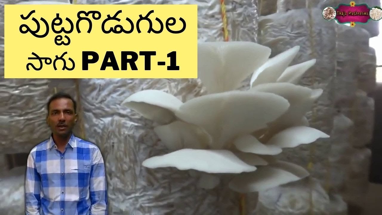Mushroom cultivation in telugu Part- 1 | I Do Gardening | Telugu Gardening Channel