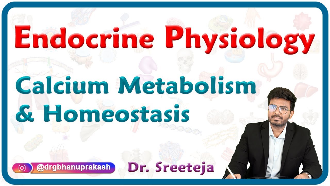 Calcium metabolism and Homeostasis : Endocrine Physiology USMLE Step 1