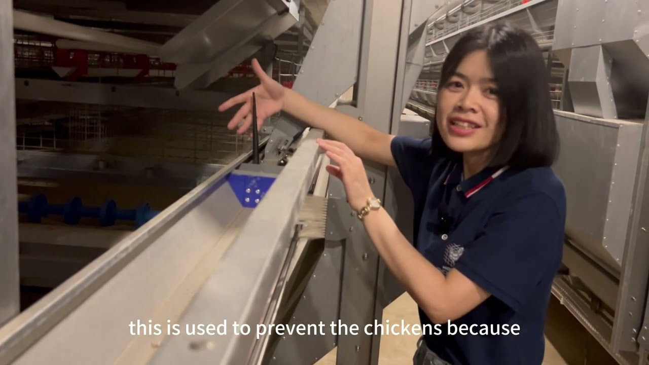 Analysis of the 100,000-person egg-laying chicken cage farm in Philippines