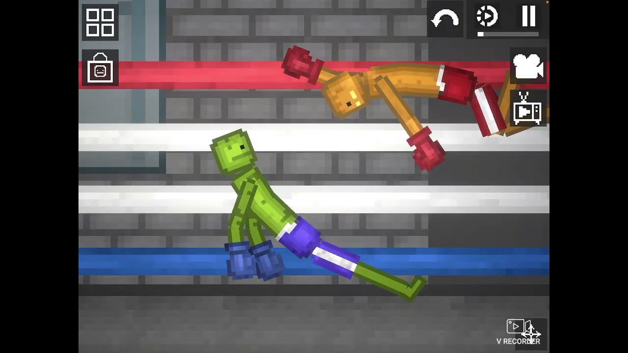 The wwe fight