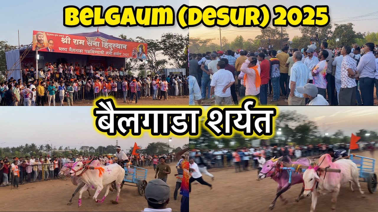 बेळगाव भव्य बैलगाडा शर्यत 2025 | Shri Ram Sena Hindustan Bailgada Sharyat Desur