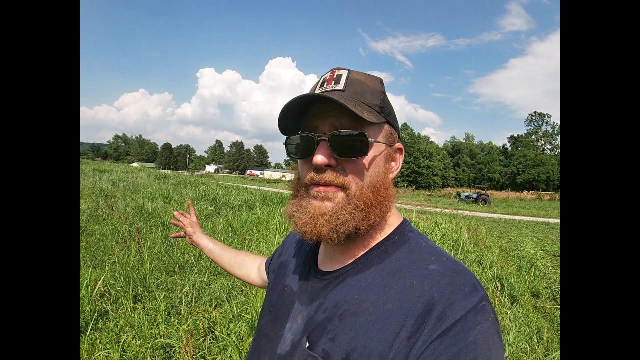International 484 and 990 mowing hay