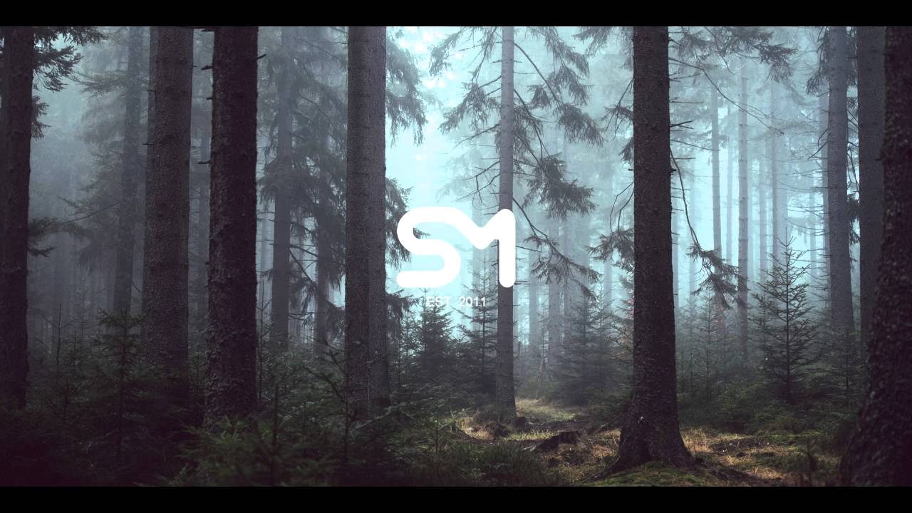autumn keys - i can't move