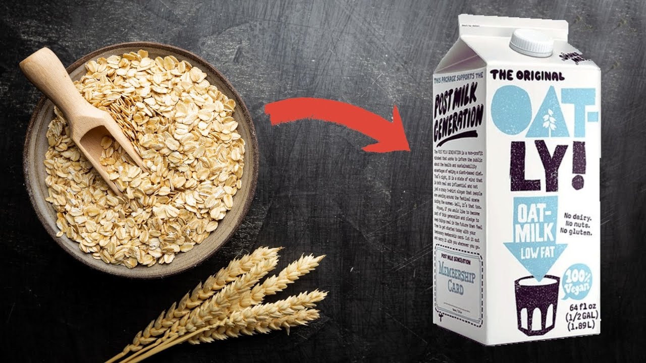 How Oat Milk Is Made