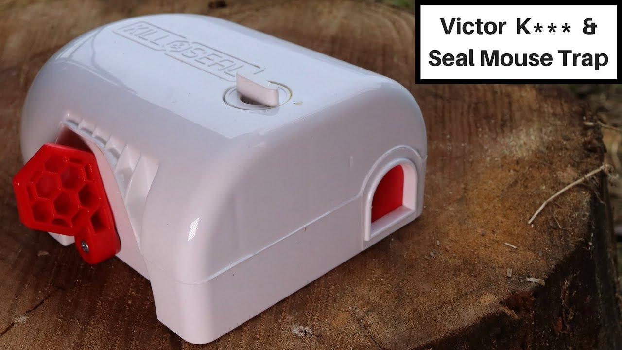 A Mouse Trap Designed For Hypochondriacs / Germaphobes - Victor  K.... & Seal Mouse Trap.