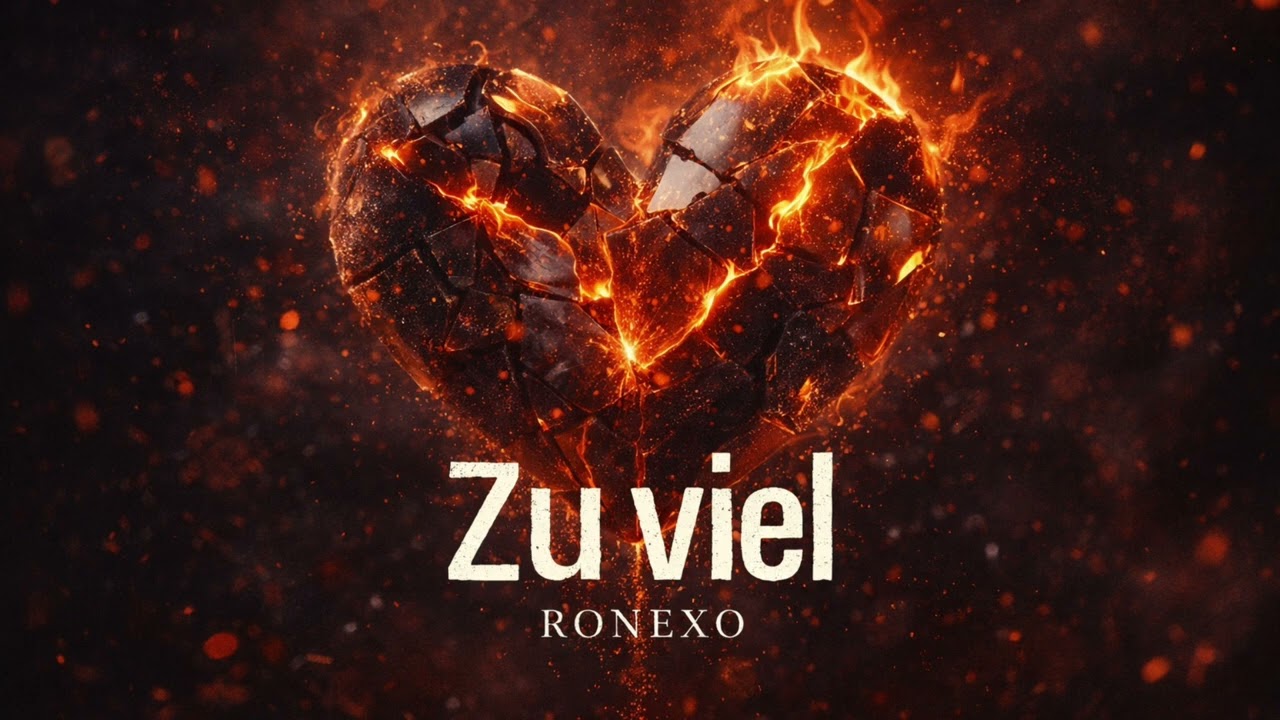 RONEXO - Zu viel