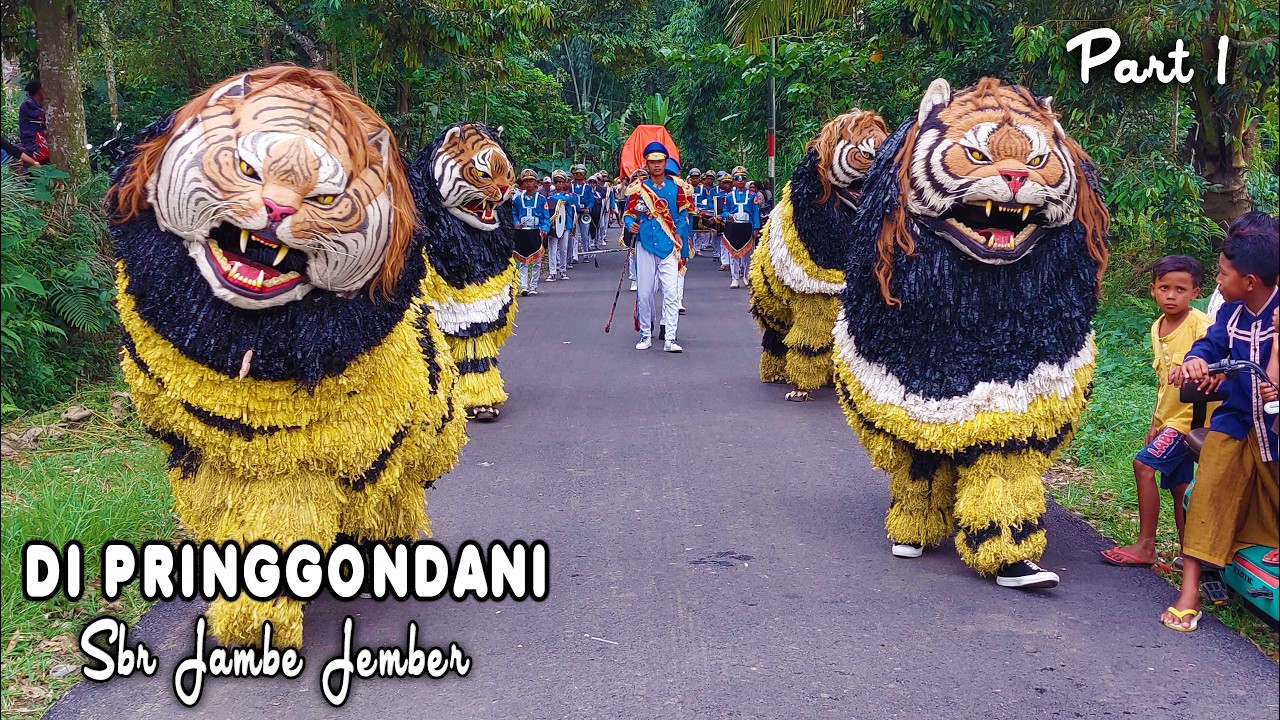 KIRAB CAN MACANAN DAN DRUMBAND SINGO MANGGALA DI PRINGGONDANI SBR JAMBE JEMBER PART1.mp4