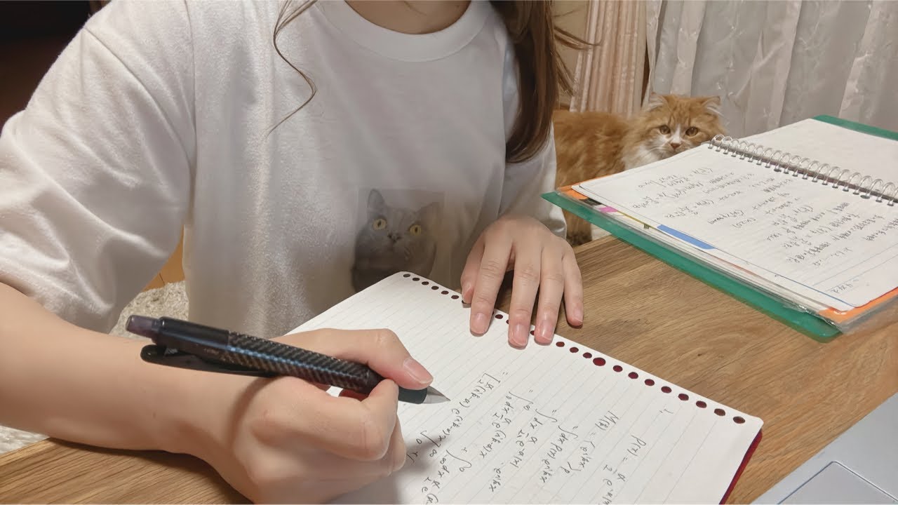 物理出来ないので勉強します。( ᐪ꒳ᐪ )（めっちゃ喋りながらやってる。）