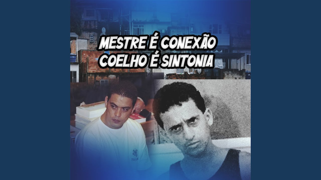 Mestre É Conexão Coelho É Sintonia