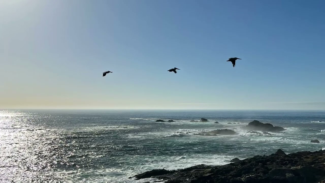 @Travel and Nature - Listen more through your eyes!