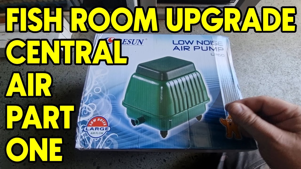 Fish Room Upgrade HUGE central air pump!