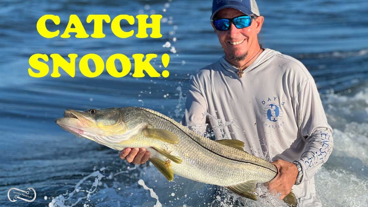 HOW TO CATCH SNOOK ON THE BEACH (FF Episode 14, Season 1)