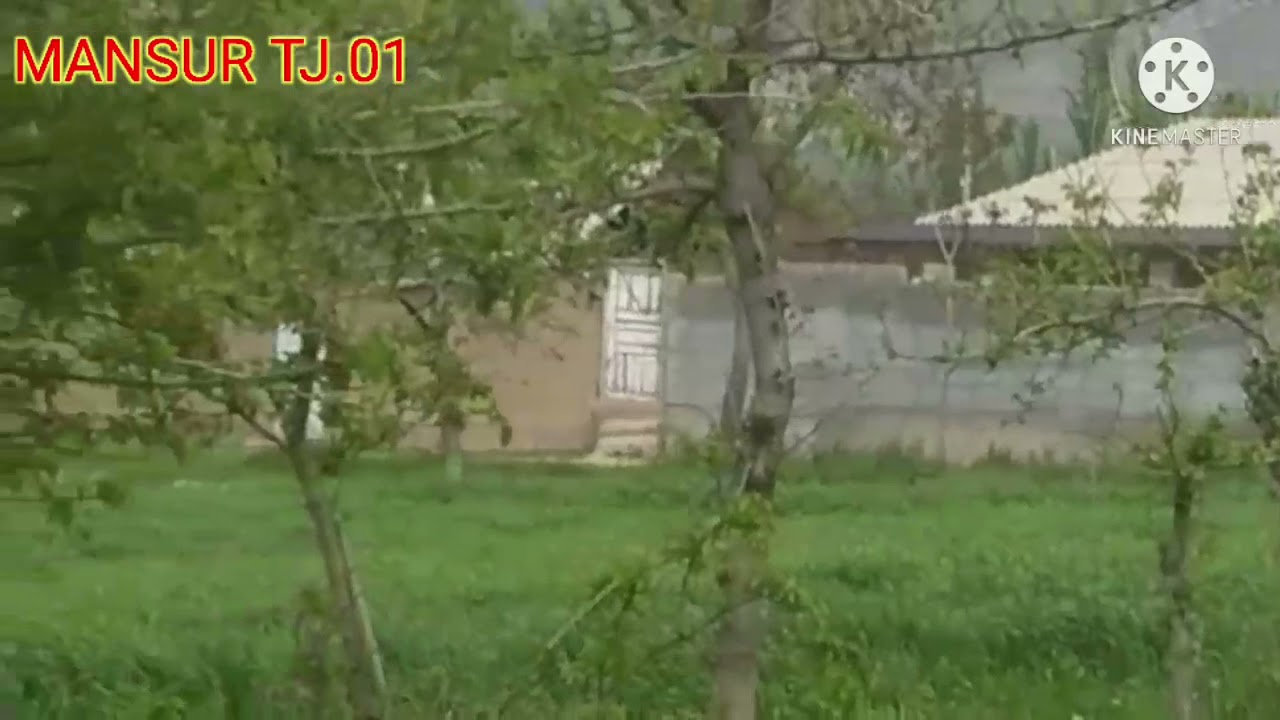 Убайдулло Каромат/ Рузи рафта бар намегардад