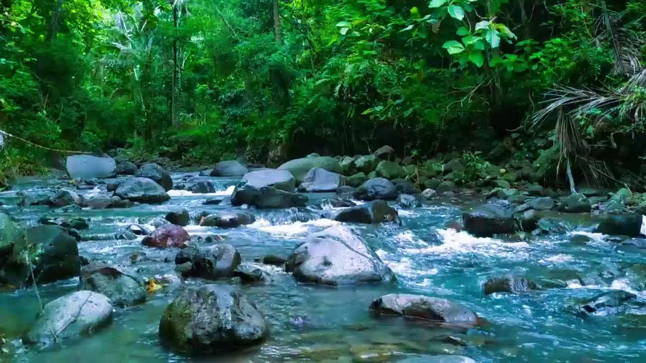 Mountain stream flowing - Forest river stream - Flowing water - white noise for sleeping