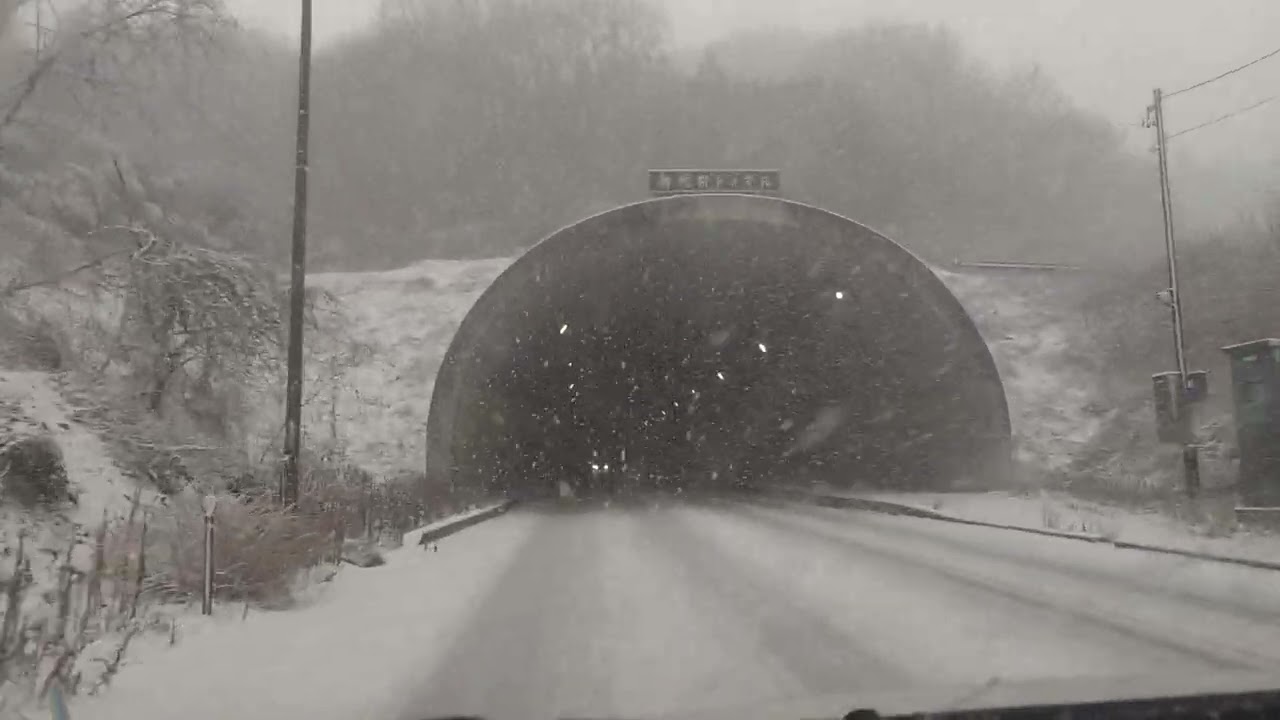 今日はこんな日 雪