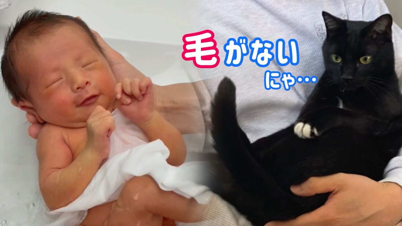 赤ちゃんの沐浴に 興味津々の猫がとった行動が意外すぎた‼︎