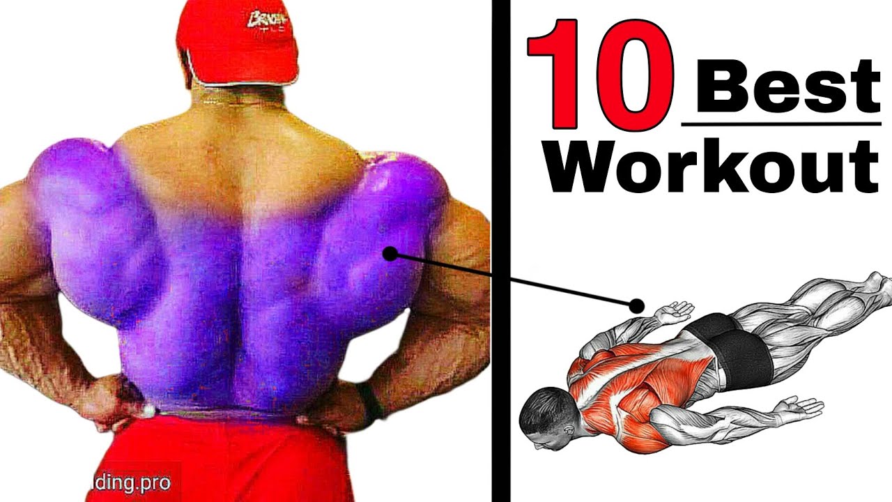10 Best Back Workout at Home | Build V-Shape Back Fast (No Equipment)