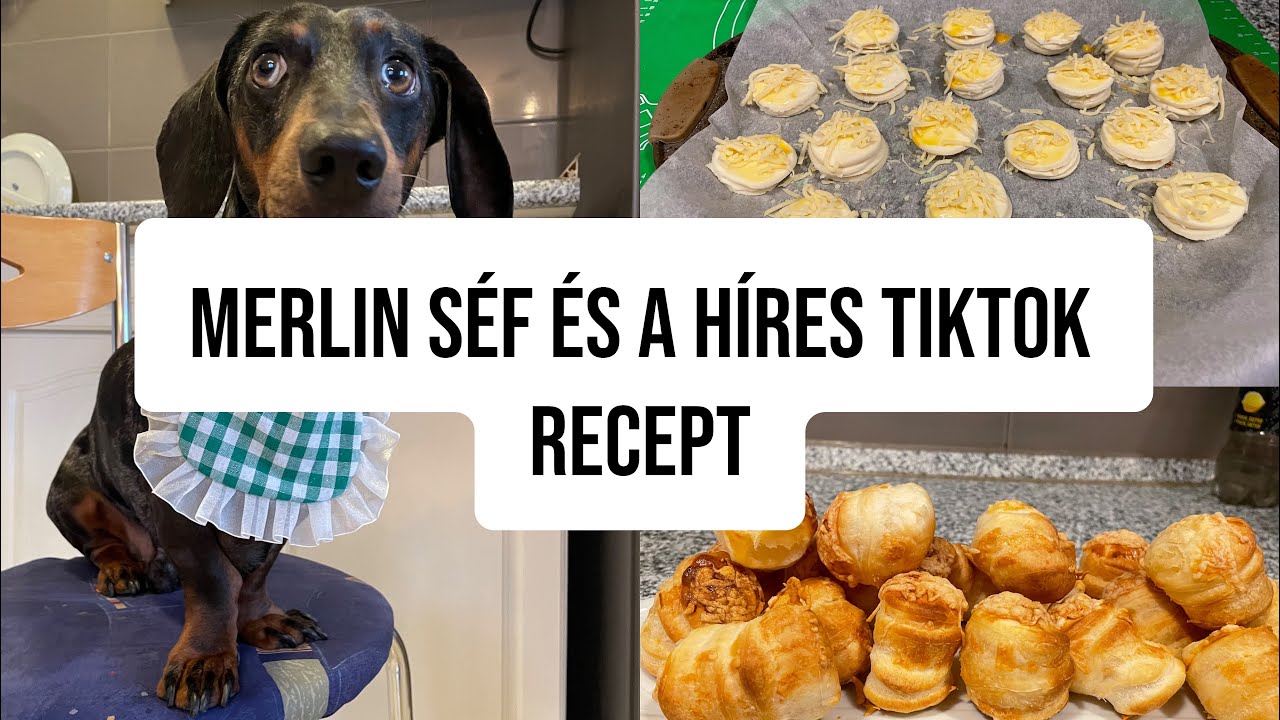 A tacskóm elkészíti a híres TIKTOK receptet ..#merlinkalandok