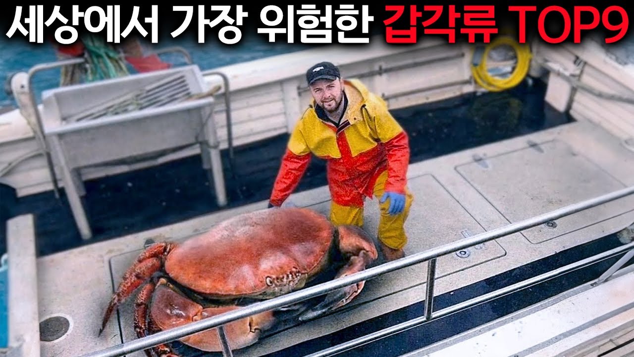 3년간 바다에 잠겼던 난파선의 비밀, 낚시꾼들이 목격한 충격적인 장면