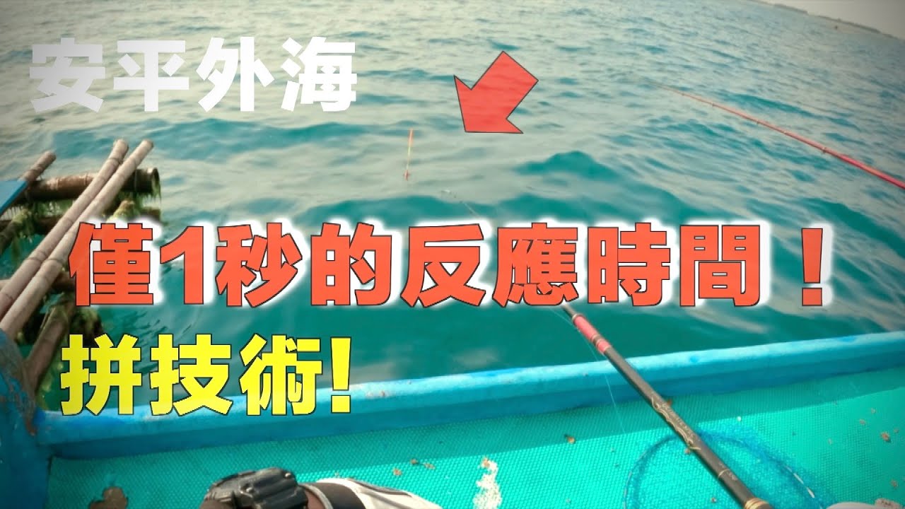 開槍時間0.2秒！拼快手！斤級大魚只吃一秒瞬間！！@onefish2020