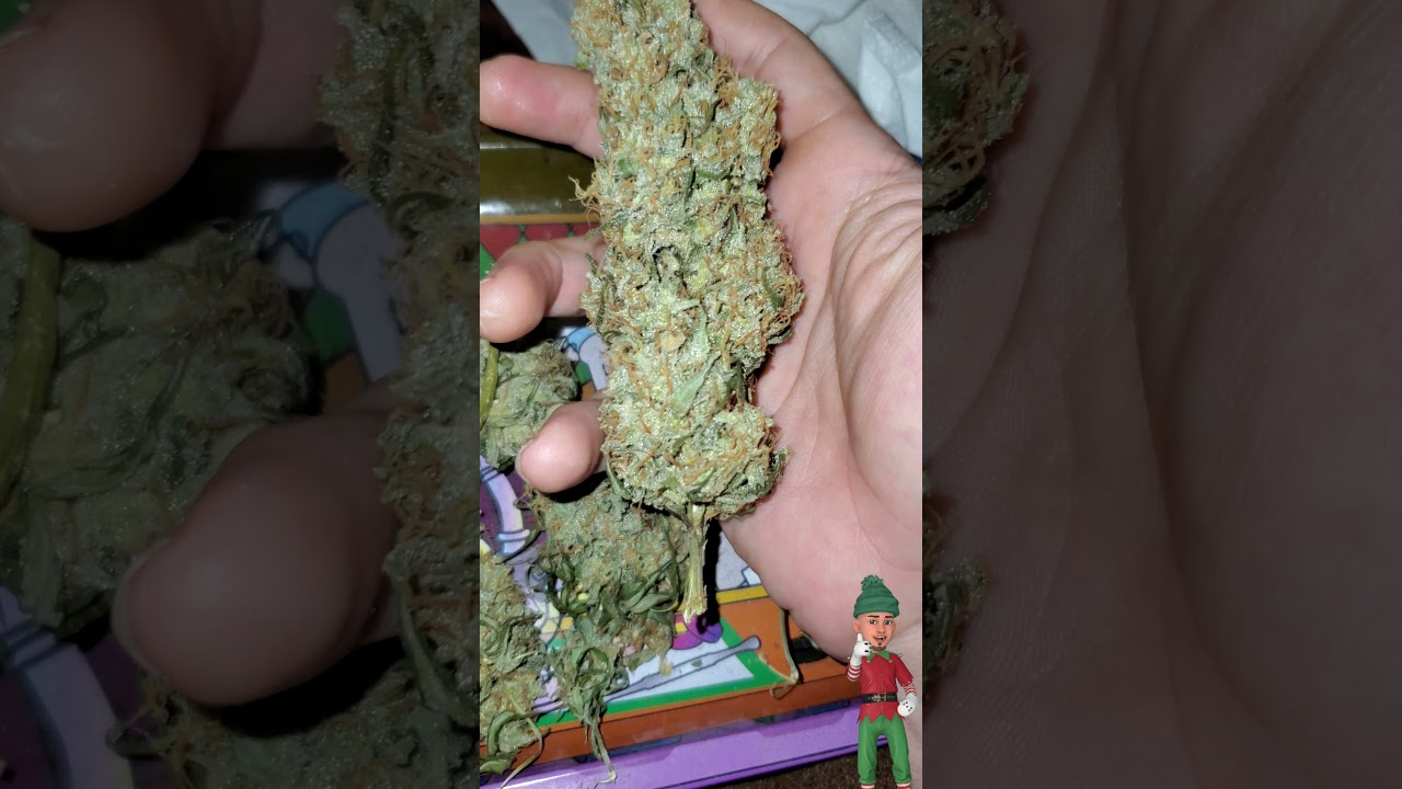 Nukeheads Auto,  Dry Bud Review 😁💨🤙🏼 ( TV420 ) 📺