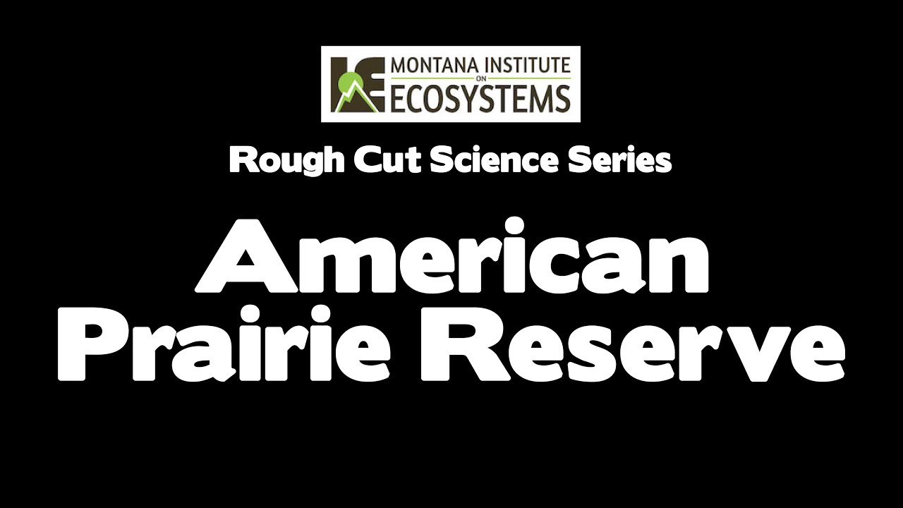 American Prairie Reserve: How to Build a Park the Size of Connecticut in Northeastern MT